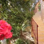 فيلة Maryvilla 0140 كاليبي